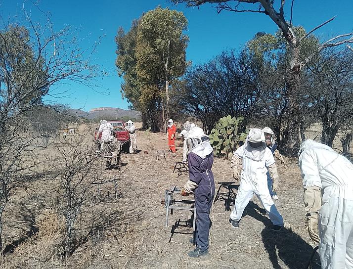 Impulsa Renata Ávila la apicultura educativa en la Secundaria Técnica 38 de Jerez