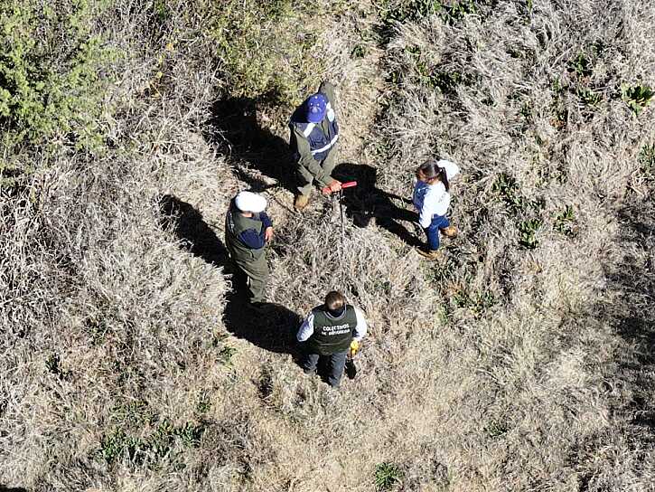 REALIZAN AUTORIDADES BÚSQUEDA DE CAMPO EN RÍO GRANDE PARA LOCALIZAR A PERSONAS DESAPARECIDAS