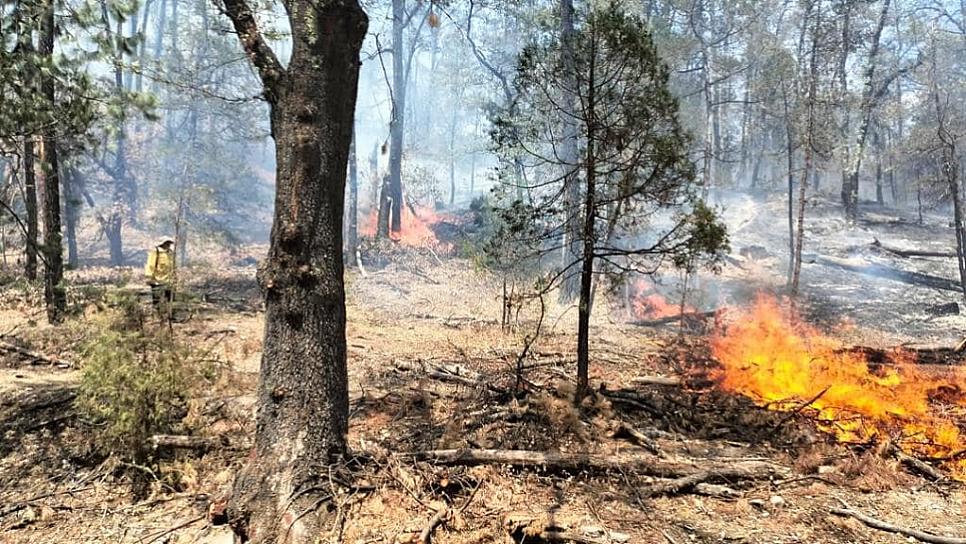 INCENDIO EN VALPARAÍSO CONSUME 2 MIL HECTÁREAS 