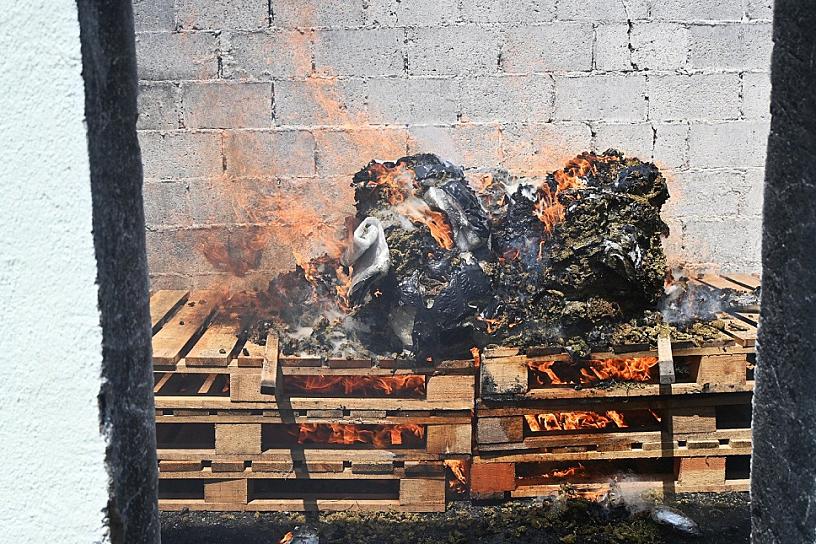 INCINERAN MAS DE 29 KILOGRAMOS DE MARIHUANA Y OTROS NARCÓTICOS