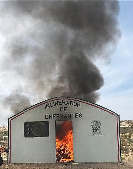 INCINERAN NARCÓTICOS Y DESTRUYE OBJETOS RELACIONADOS CON DELITOS FEDERALES 
