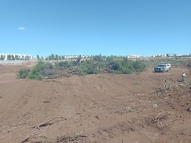INCONFORMES, VECINOS DE COLINAS DEL PADRE POR “ECOCIDIO”