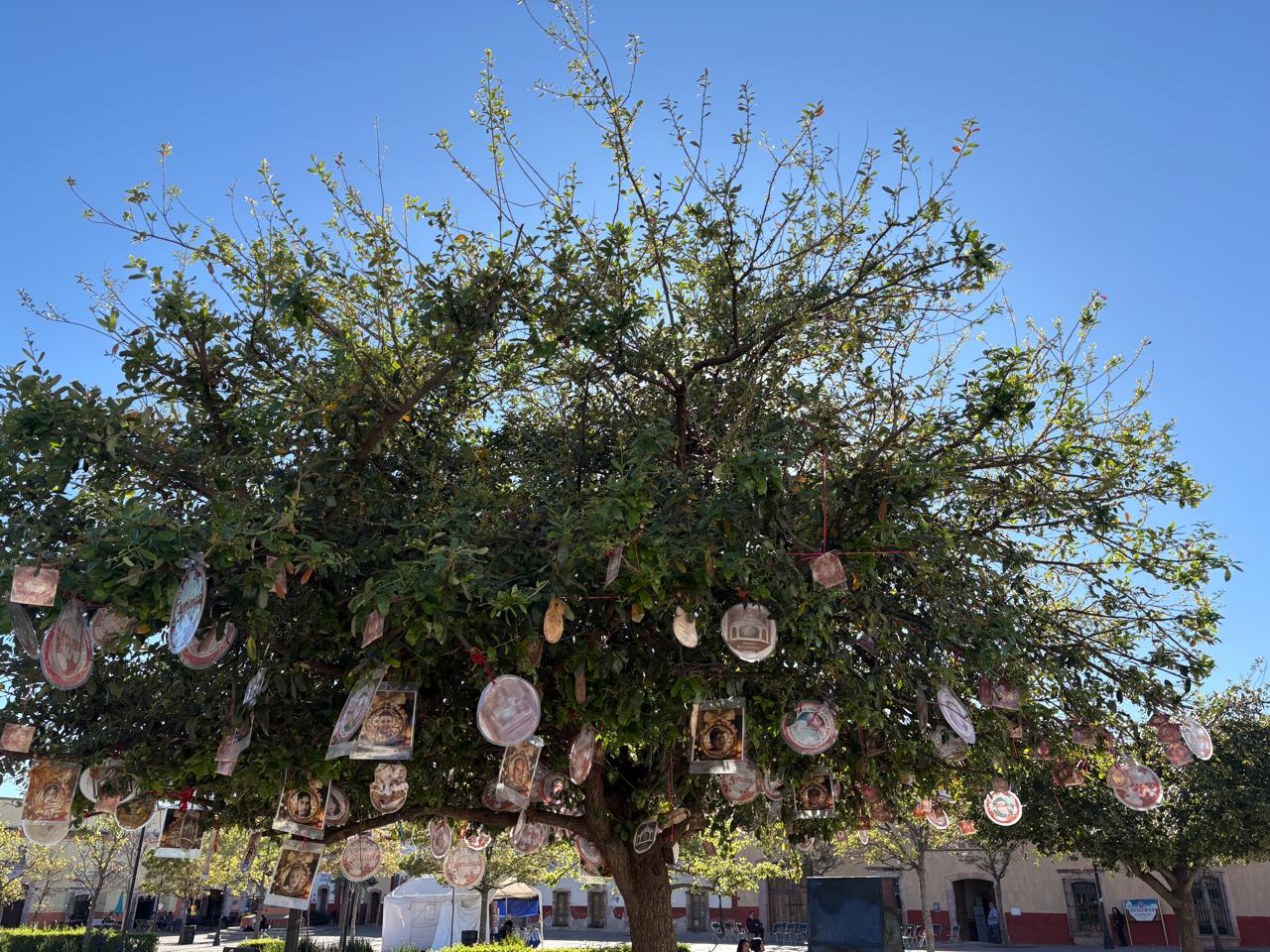 FLORECE ÁRBOL DE LA MEMORIA EN EL CORAZÓN DE GUADALUPE