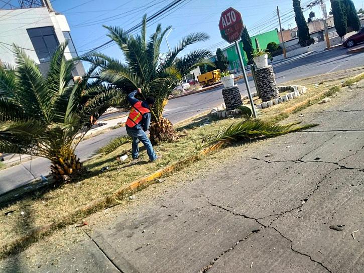 INICIAN PROGRAMA DE MEJORA DE PARQUES Y JARDINES EN FRESNILLO