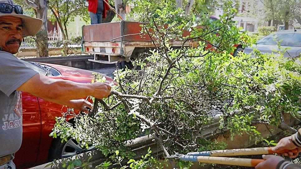 INICIA SANEAMIENTO DE LA ALAMEDA GARCÍA SALINAS