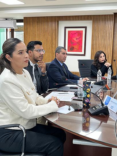 INSTALAN COMISIÓN DE TURISMO EN LA CAPITAL 