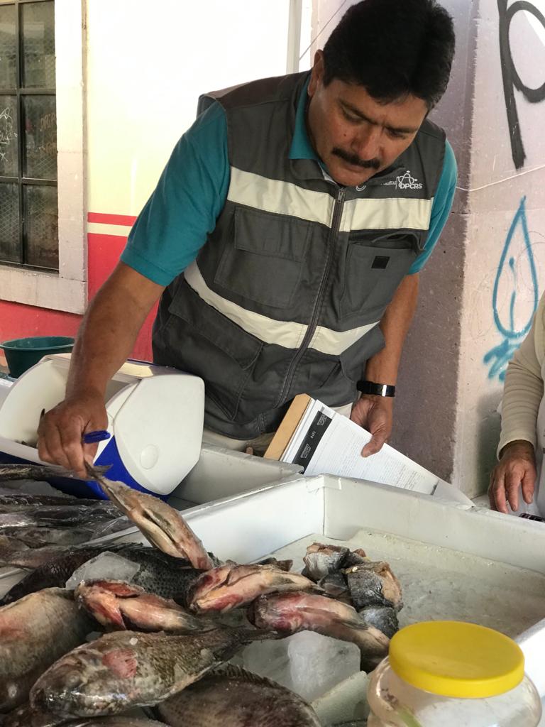 REALIZA SSZ REVISIONES A LUGARES QUE EXPENDEN PESCADOS Y MARISCOS