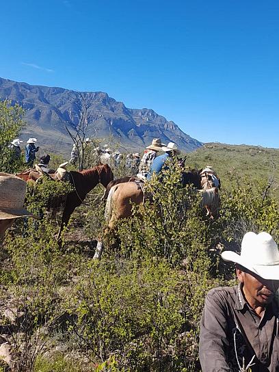 INVADEN TEPEHUANOS TERRITORIO DE VALPARAÍSO; VAN POR EXTRACCIÓN DE ORÉGANO 