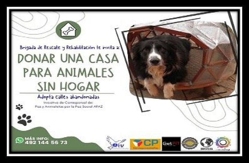  INVITAN A BRIGADA DE RESCATE Y REHABILITACIÓN EN LA CAPITAL 