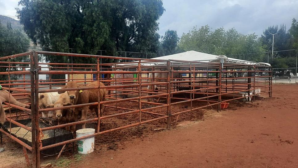 INVITAN A LA EXPO AGRÍCOLA  DE LA FERIA DE GUADALUPE