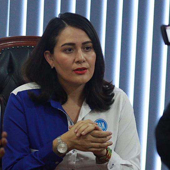 IRÁ PAN CONTRA RECORTE AL PODER JUDICIAL 