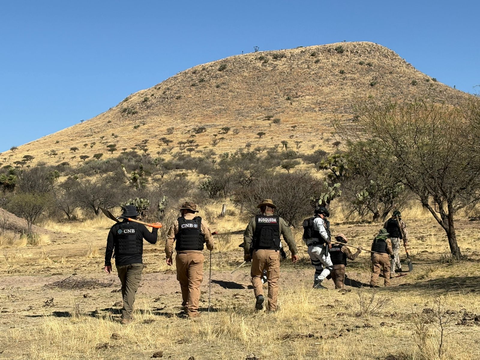 BUSCAN AUTORIDADES ESTATALES A PERSONAS DESAPARECIDAS EN LUIS MOYA