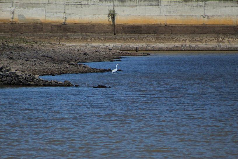 La Presa de Susticacán: Un tesoro natural que se disfruta en familia y amigos 