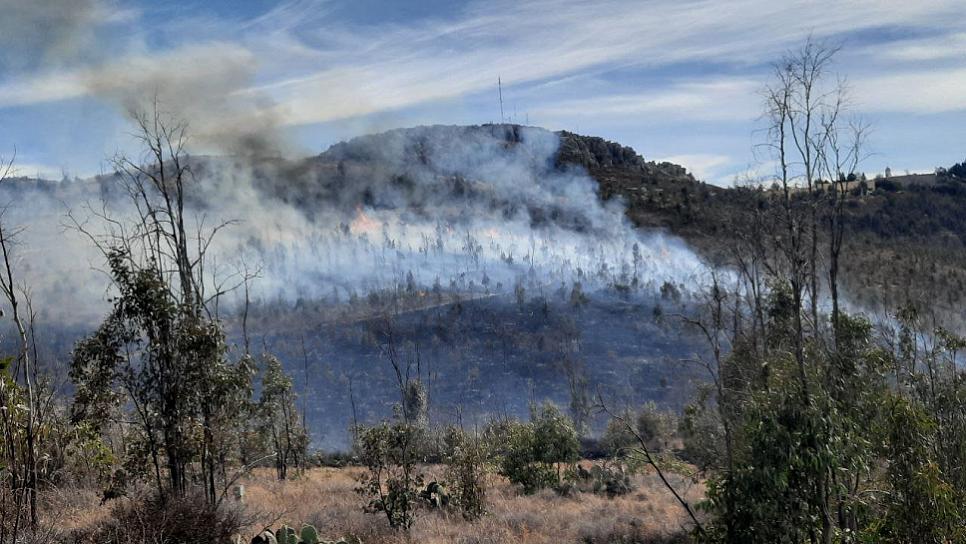 Lenguas de fuego arrasan con 7 hectáreas del cerro La Bufa