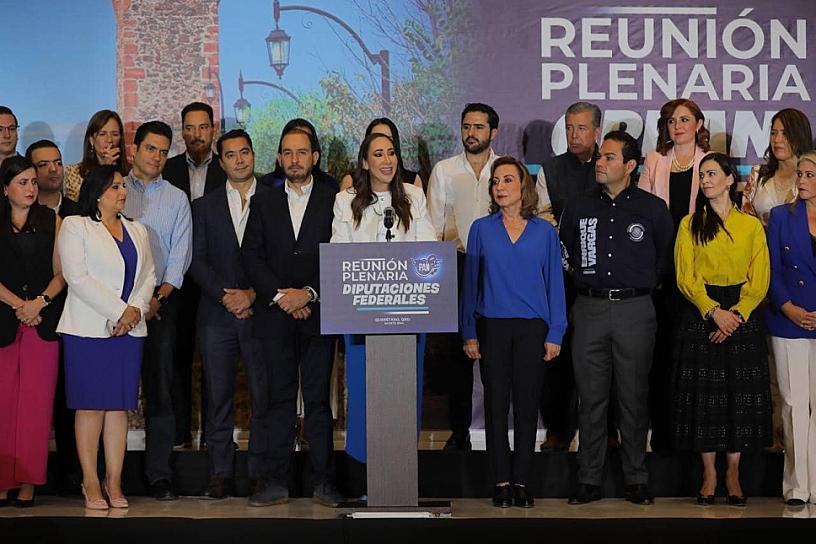 LIDERARÁ NOEMÍ LUNA LA BANCADA AZUL EN LA CÁMARA BAJA 