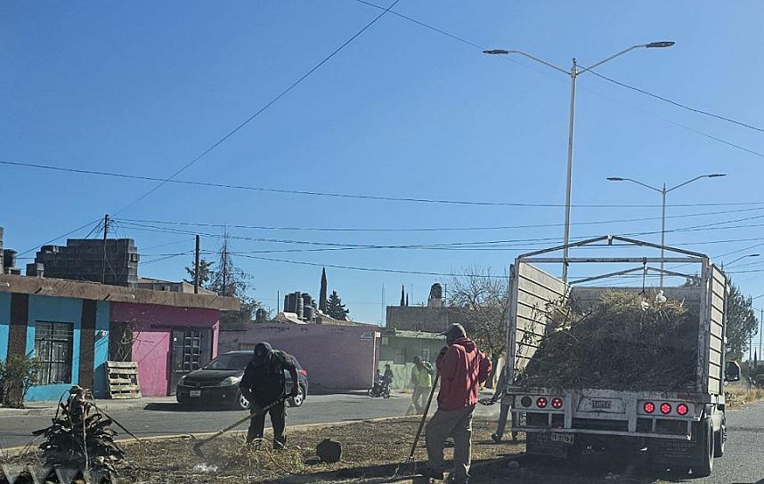 Limpian camellón de la calle Sauces en Fresnillo 
