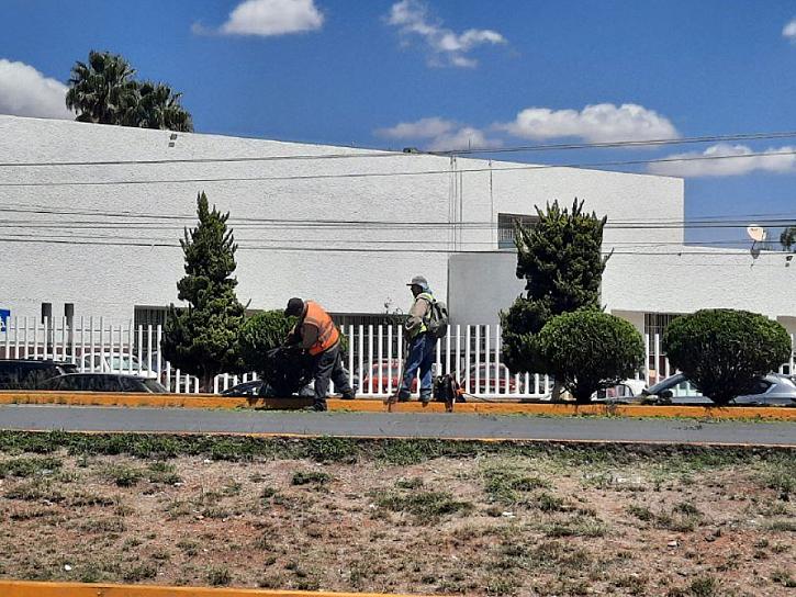LIMPIAN CAMELLONES DE FRESNILLO 