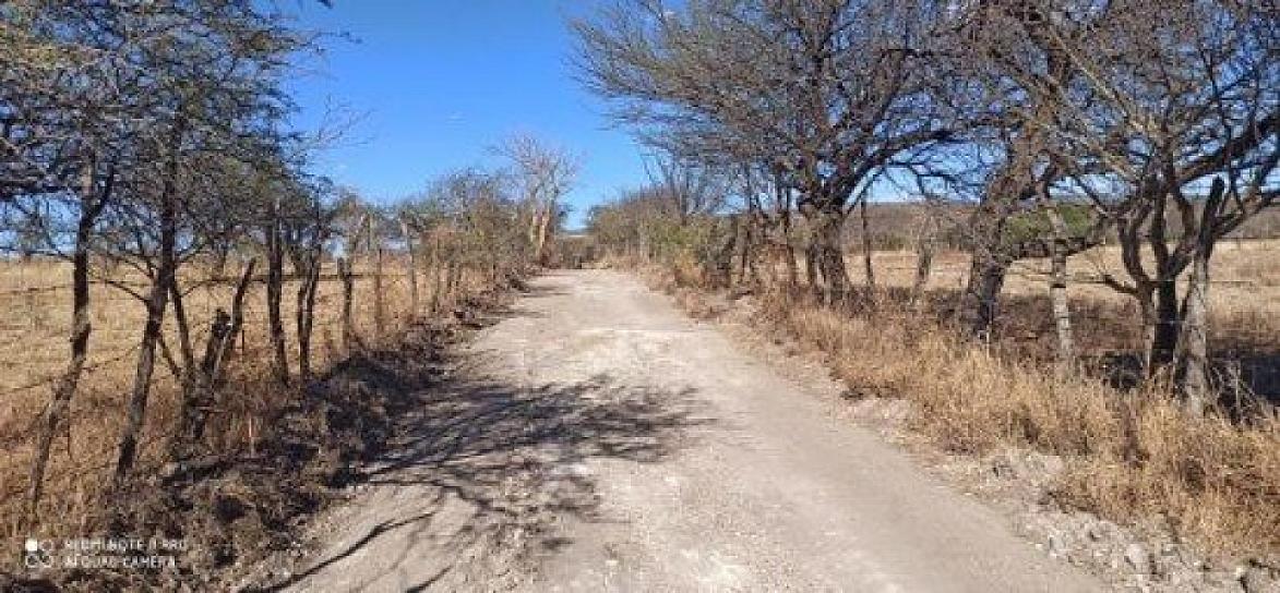 REALIZAN LIMPIEZA DE CUNETAS EN HUANUSCO