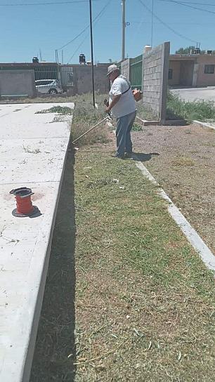 LIMPIAN ÁREAS VERDES DE JUAN ALDAMA