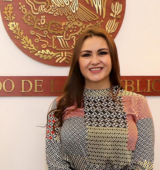 LLAMA GEOVANNA BAÑUELOS A CONTENER CIBERATAQUES Y CIBERESPIONAJE