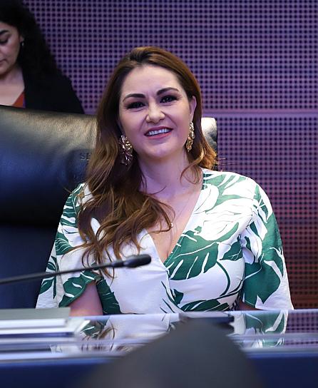LLAMA GEOVANNA BAÑUELOS A FORTALECER PROGRAMAS DE ADQUISICIÓN DE PANELES SOLARES