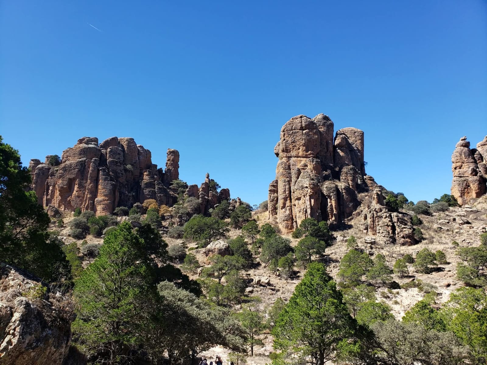 SIERRA DE ÓRGANOS: DONDE LA NATURALEZA Y EL CINE SE ENCUENTRAN