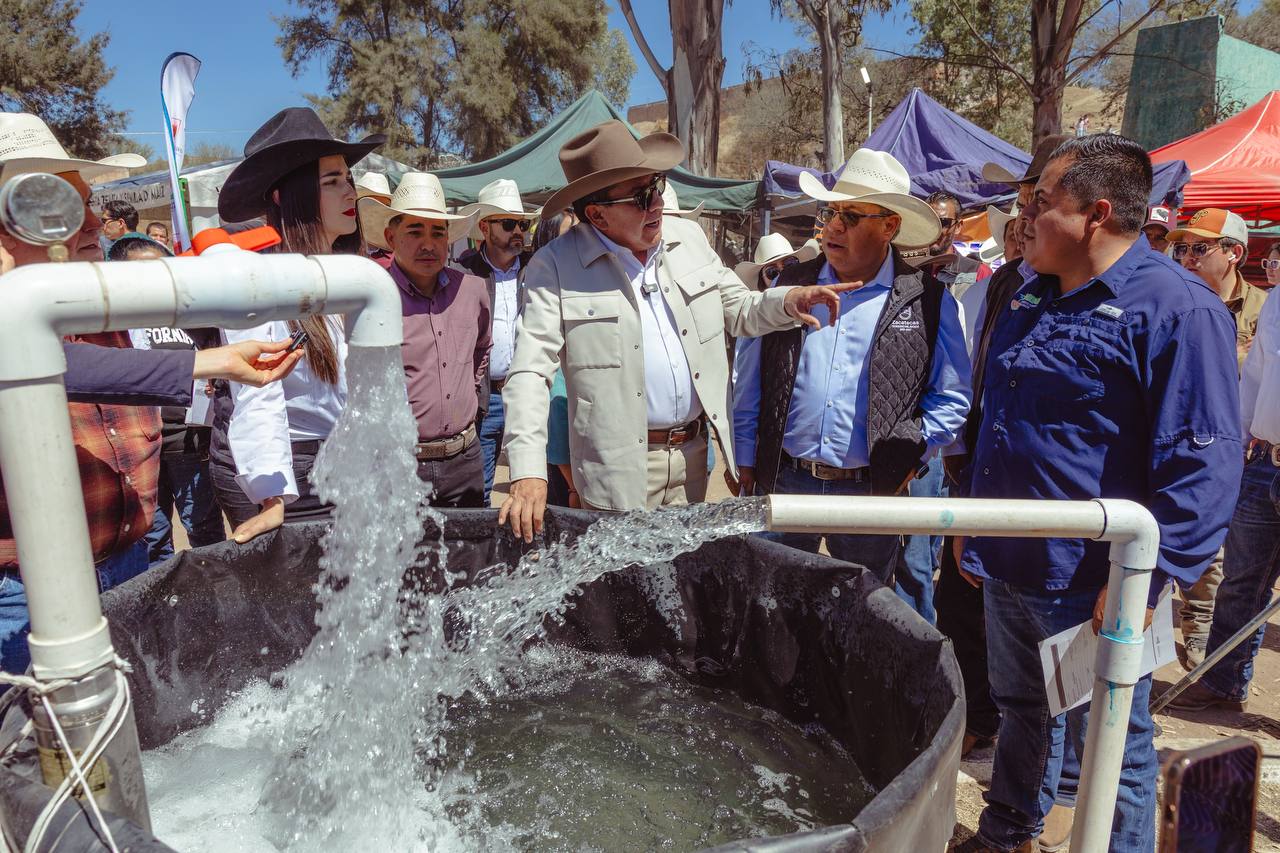 -¡Miren, ya les traje agua!
