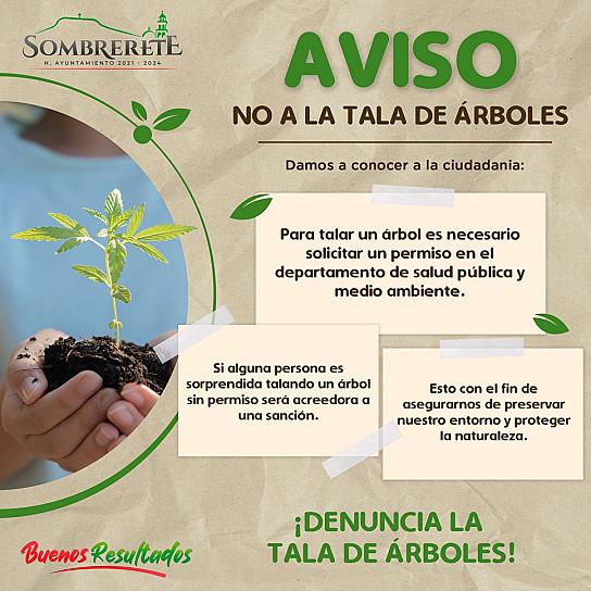 LLAMAN EN SOMBRERETE A DENUNCIAR TALA ILEGAL DE ÁRBOLES 