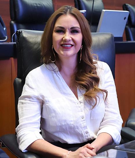 LLAMA SENADORA A AUTORIDADES A INCENTIVAR LA ACTIVIDAD INDUSTRIAL EN ZACATECAS