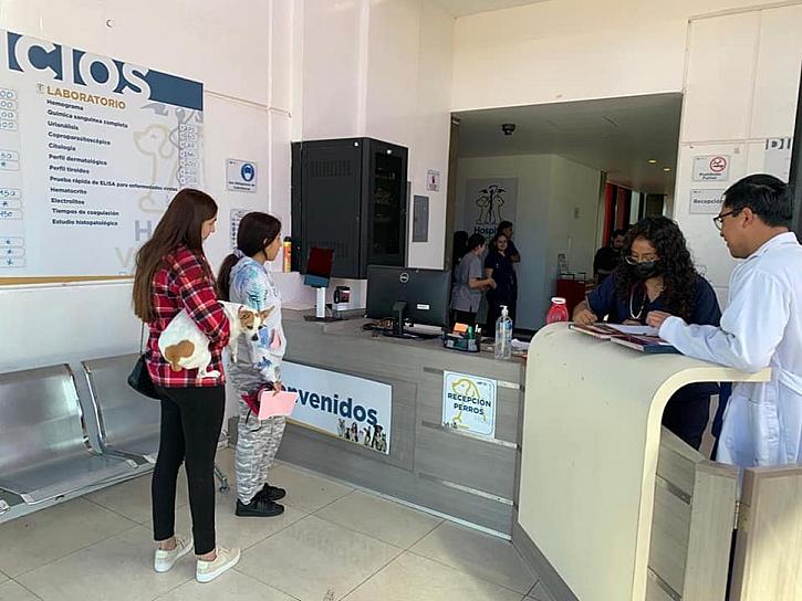 LLEVA HOSPITAL DE PEQUEÑAS ESPECIES DE LA UAZ LOS MEJORES SERVICIOS PARA EL CUIDADO ANIMAL