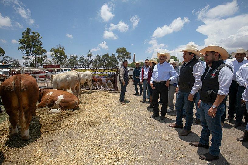 LLEVAN DÉCIMA FERIA AGROPECUARIA REGIONAL A PINOS