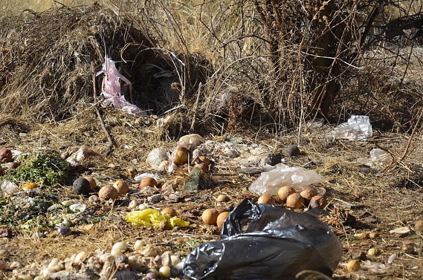 LOTES BALDÍOS SE CONVIERTEN EN BASUREROS