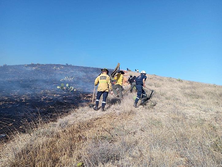 MAL USO DE PÓLVORA EN BRACHO PROVOCA INCENDIO FORESTAL 