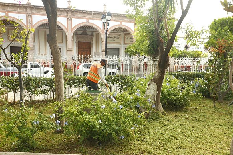 MANTIENEN JORNADA DE LIMPIEZA EN ÁREAS VERDES DE JEREZ