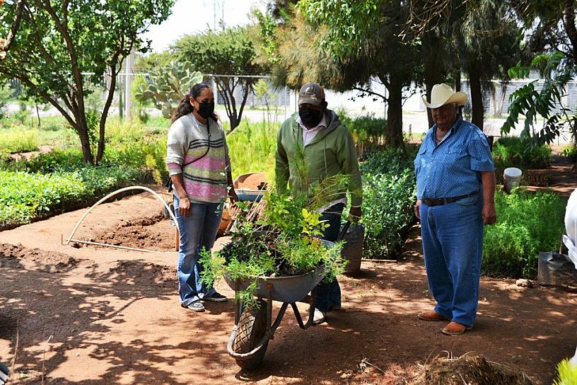 MANTIENE SECAMPO PRODUCCIÓN DE 750 MIL PLANTAS DE ÁRBOLES PARA REFORESTACIÓN