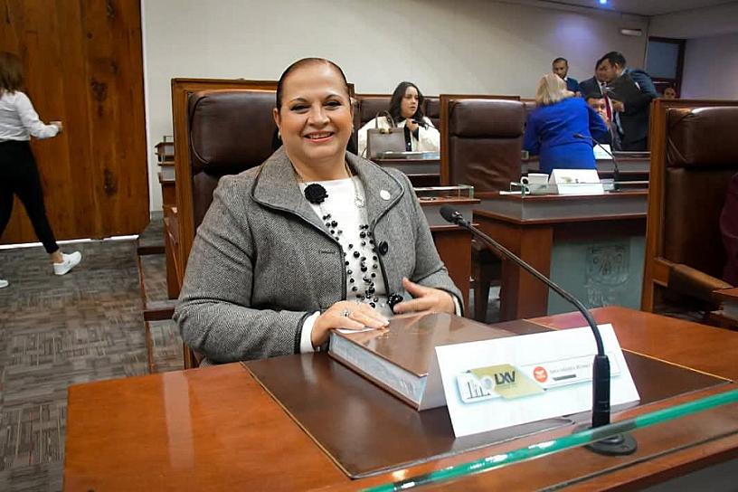 MC no es oposición, es alternativa: Ana María Romo