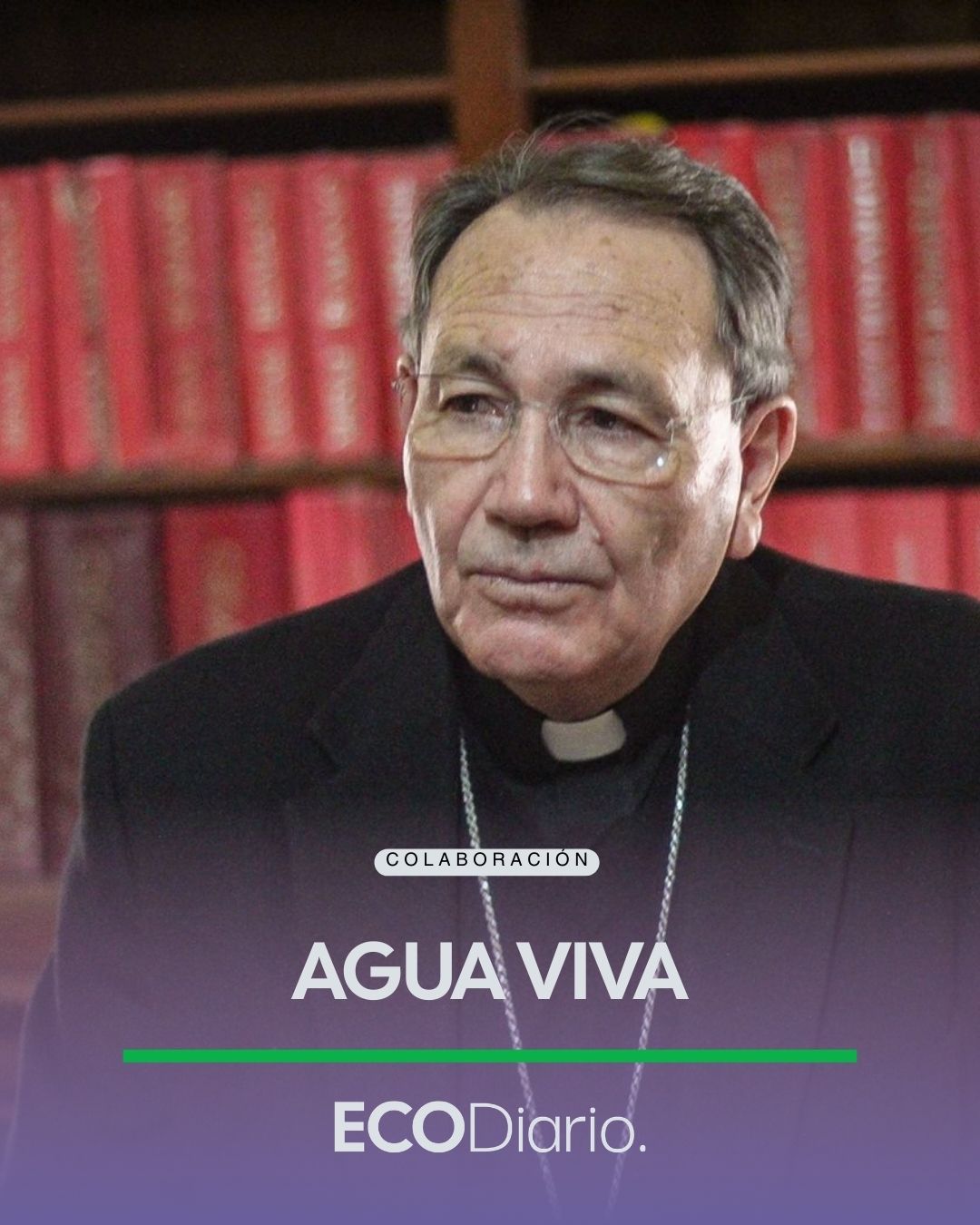 REFLEXIONANDO EL EVANGELIO | AGUA VIVA