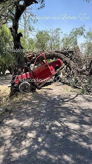 MUERE UN HOMBRE AL IMPACTAR SU VEHÍCULO CONTRA UN ÁRBOL 