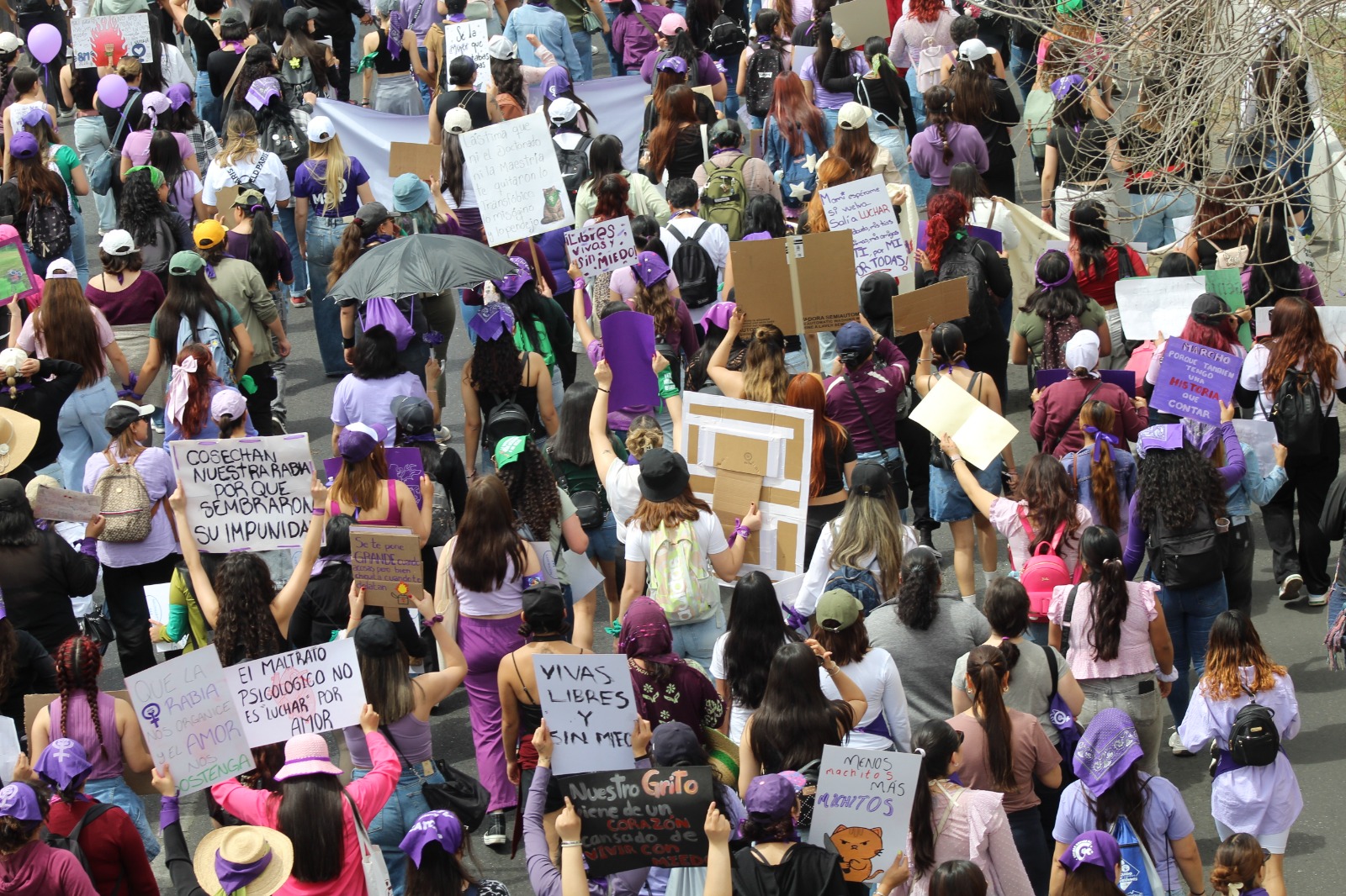 LAS CALLES SON NUESTRAS: ZACATECANAS MARCHAN SIN PRESENCIA POLICIACA EN EL 8M