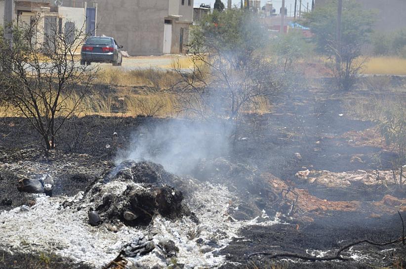 MULTIPLICIDAD DE INCENDIOS EN GUADALUPE