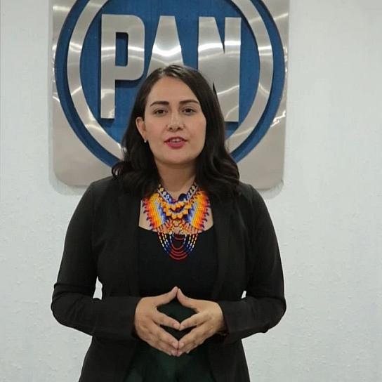NO HABRÁ CONSULTA CIUDADANA EN EL FRENTE OPOSITOR: ALAMILLO