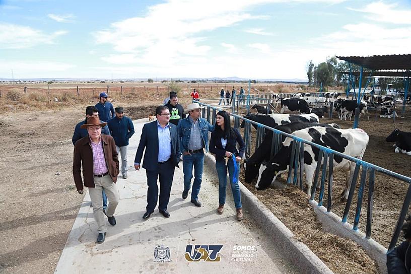NOMBRAN TUZITA A LA BECERRITA DE LA UAV