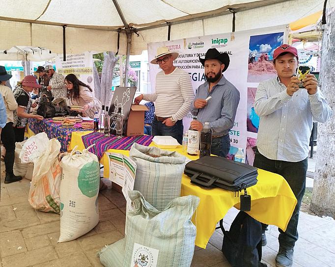 OFERTAN PRODUCTOS EN EL FESTIVAL ESTATAL DE LA ABEJA