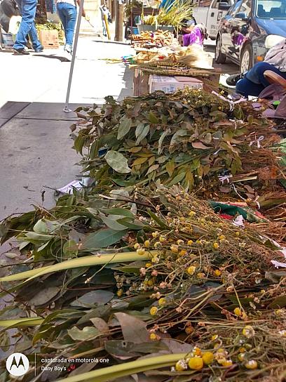 OFRECEN COMERCIANTES DE RÍO GRANDE RAMOS TEJIDOS DE PALMA 