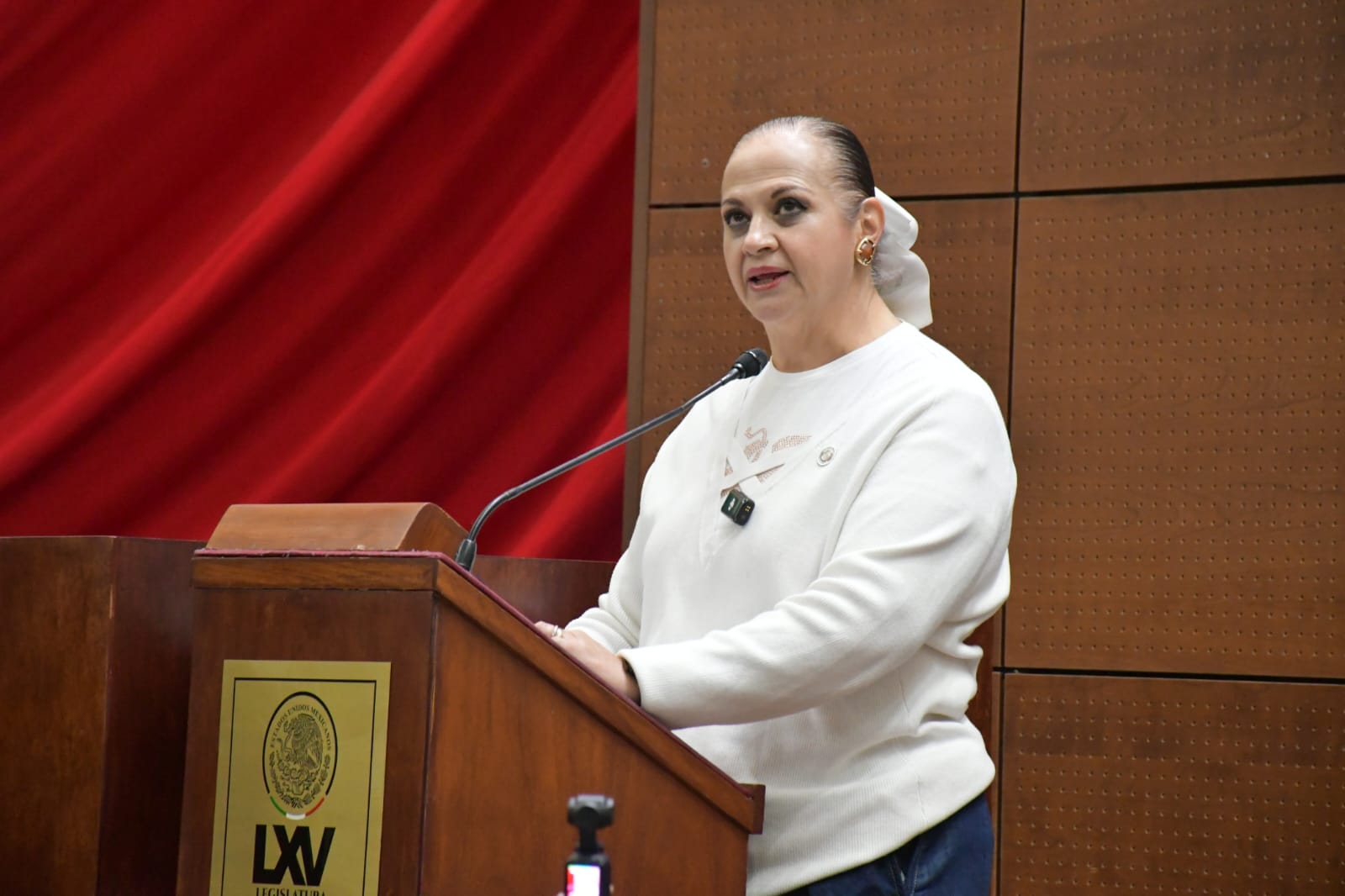 BUSCA ANA MARÍA ROMO COMBATIR ABANDONO DURANTE EL EMBARAZO