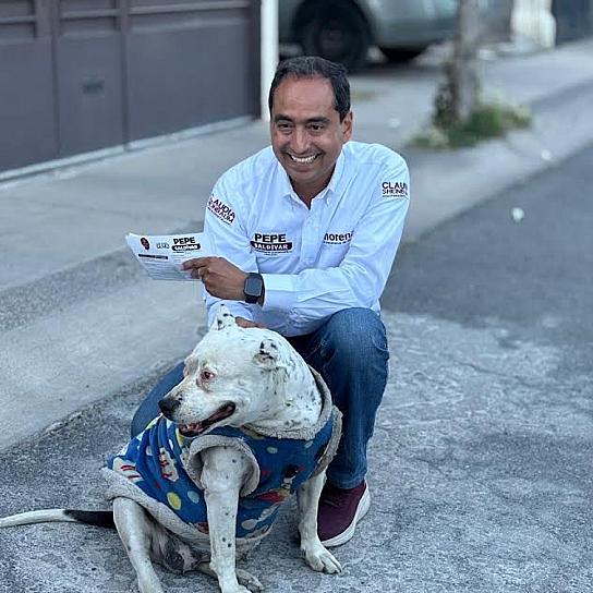 OPTA PEPE SALDÍVAR POR EL BIENESTAR ANIMAL