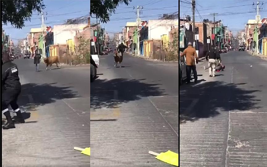 PAMPLONADA EN EL CENTRO DE GUADALUPE, TORO SUELTO CAUSA REVUELO