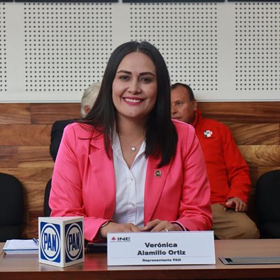 PAN, FIRME EN LA DEFENSA DE LA DEMOCRACIA: VERÓNICA ALAMILLO 