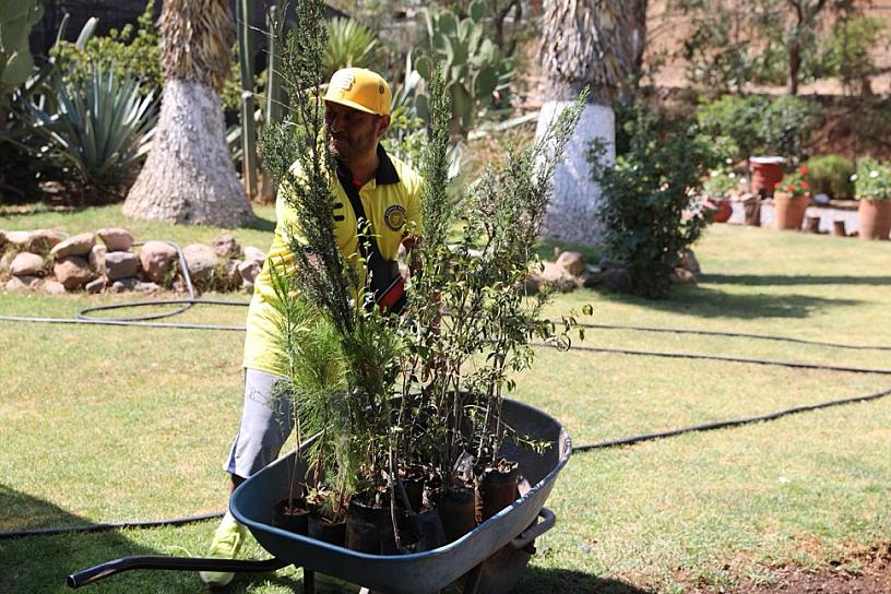 PARTICIPAN 15 PLANTELES EN PROGRAMA ADOPTA UN ÁRBOL EN TU ESCUELA 