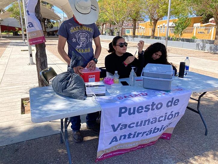 PARTICIPAN ESTUDIANTES DE VETERINARIA EN JORNADA NACIONAL DE VACUNACIÓN ANTIRRÁBICA
